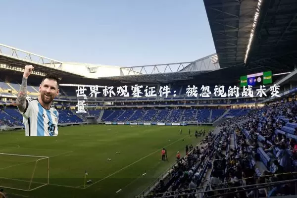 世界杯观赛证件：被忽视的战术变量
